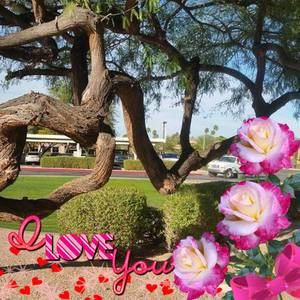 Meet your Posher, Lucy